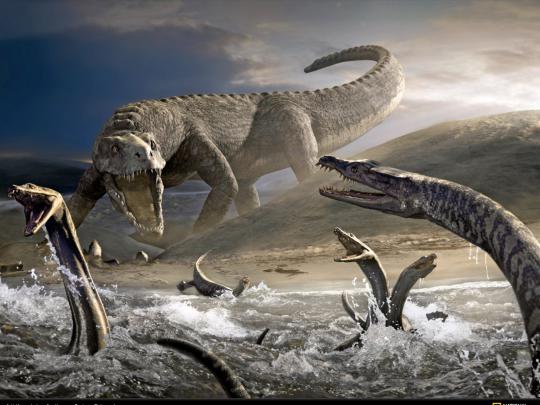 Beautiful Wallpapers for Desktop: Dinosaur Wallpapers