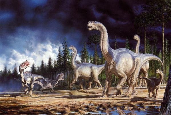 Beautiful Wallpapers for Desktop: Dinosaur Wallpapers
