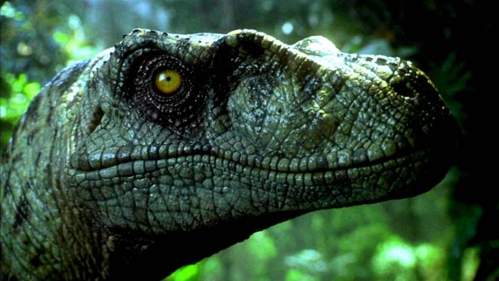 jurassic, Park, Adventure, Sci fi, Fantasy, Dinosaur, Movie, Film 