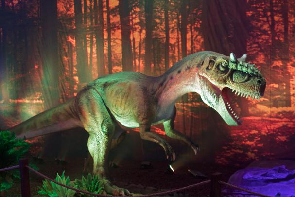 Dinosaur Backgrounds Free Download