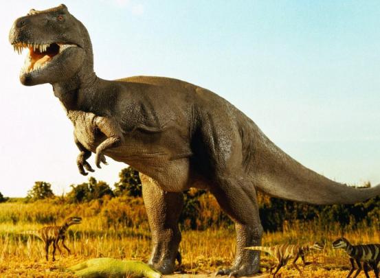 HD Dinosaur Wallpapers Pictures for Desktop Free Download | HD Wallpapers