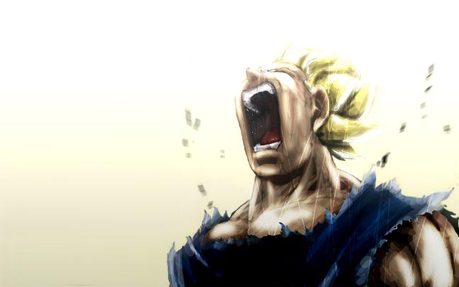 [49+] Dragon Ball Z Wallpaper 1920x1080 