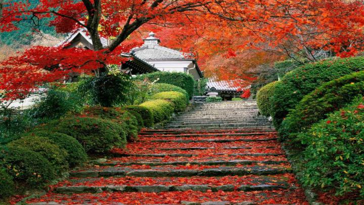 Japanese Scenery Wallpaper \u00b7\u2460 