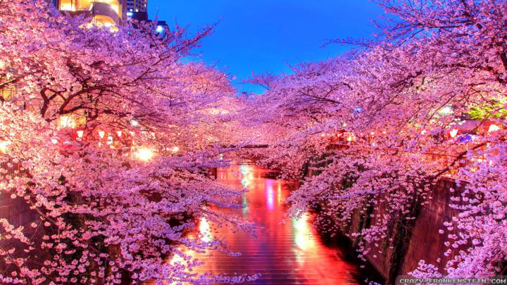 Japan Wallpapers Widescreen -