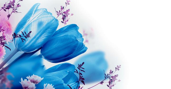 Blue And White Wallpaper 1920x1080 - Images | Amashusho