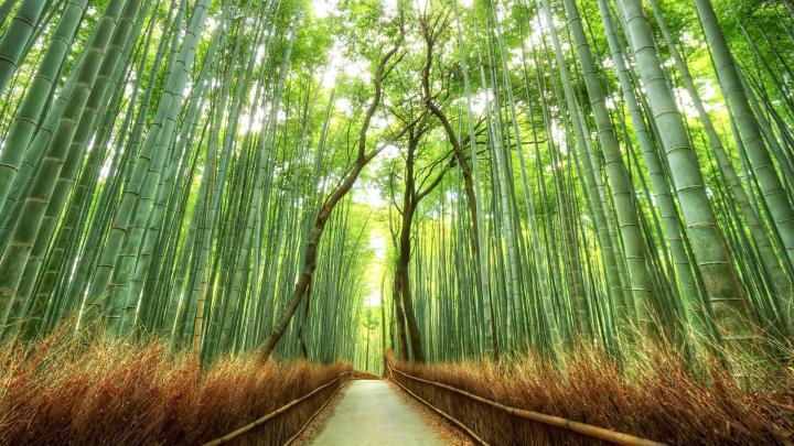 Japanese Desktop Wallpaper (70+ images)