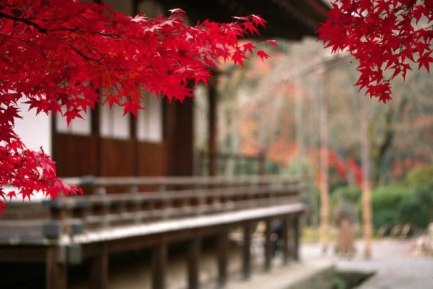 Japanese wallpaper \u00b7\u2460 Download free amazing full HD wallpapers for 