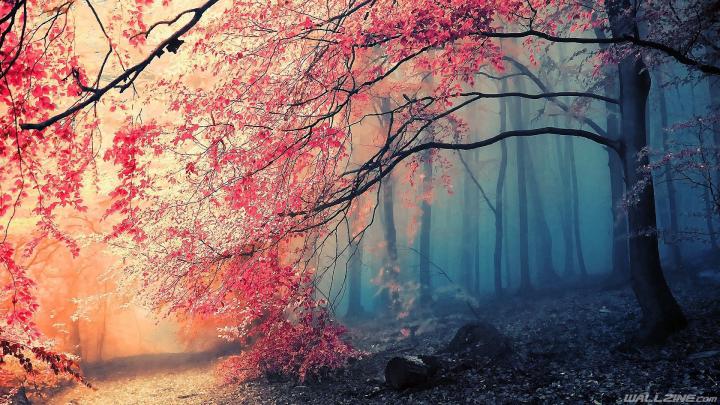 Japanese HD Desktop Wallpapers - Top Free Japanese HD Desktop 