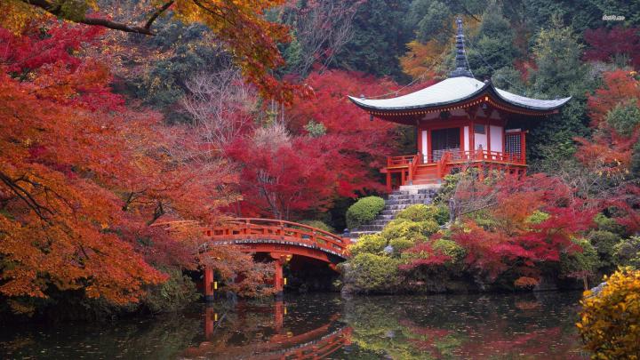 Japanese Temple Wallpapers - Top Free Japanese Temple Backgrounds 