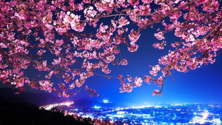 Cute Japanese Wallpaper (74+ pictures)