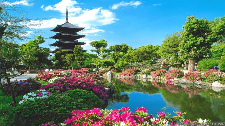 Pretty Japanese Wallpapers - Top Free Pretty Japanese Backgrounds 
