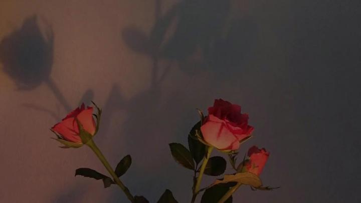 Vintage Aesthetic Desktop Wallpapers