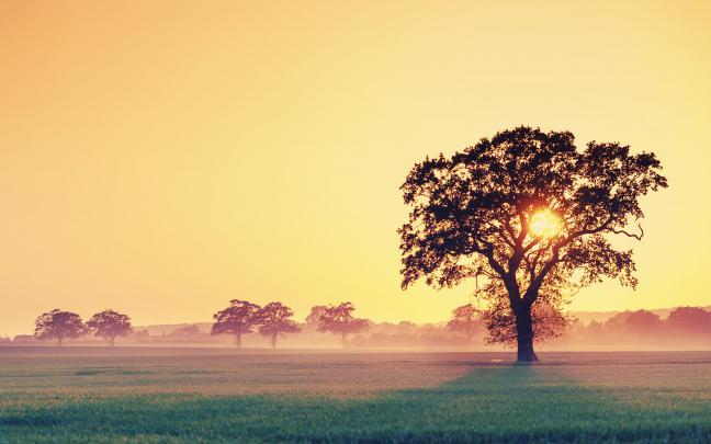 pink sunset wallpaper - HD Desktop Wallpapers