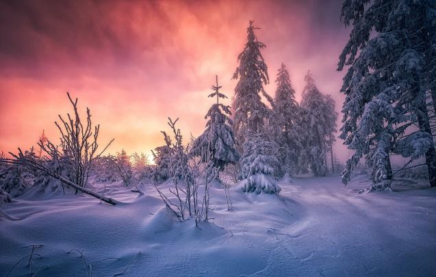 Pink Nature Wallpaper \u00b7\u2460 