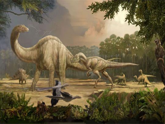 Beautiful Wallpapers for Desktop: Dinosaur Wallpapers