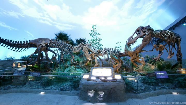 Dinosaur Wallpaper (69+ images)