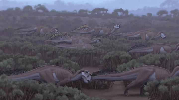 Dinosaur Wallpaper HD (69+ images)