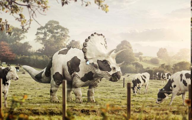 animals, Cows, Dinosaurs Wallpapers HD \/ Desktop and Mobile Backgrounds