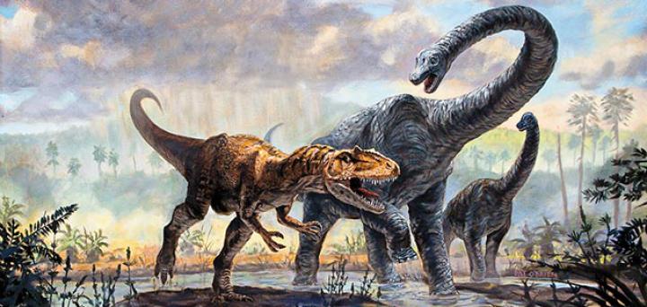 Beautiful Wallpapers for Desktop: Dinosaur Wallpapers