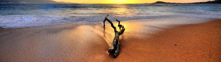 nature, Landscape, Beach, Dual Screen Wallpapers HD \/ Desktop and 