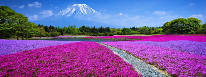 multi, Monitor, Dual, Screen, 3200, 1200 Wallpapers HD \/ Desktop and 