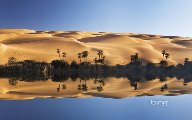 New Bing Dynamic Theme Wallpapers | WindowsObserver.com