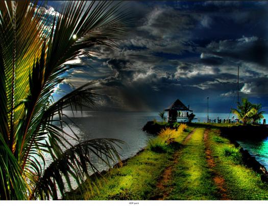 Dynamic Desktop Wallpaper -