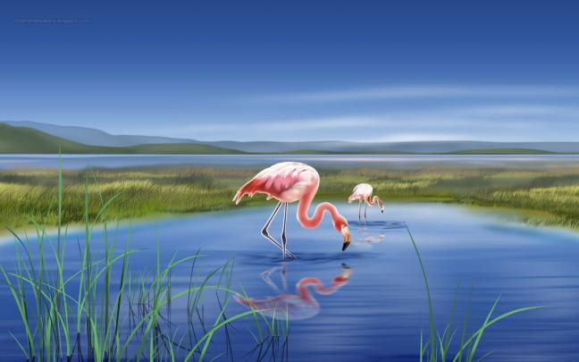 [46+] Flamingo Desktop Wallpaper 