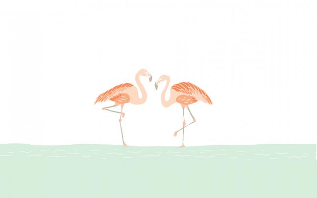 Cute Flamingo Wallpaper Desktop - 1856x1161 Wallpaper - teahub.io