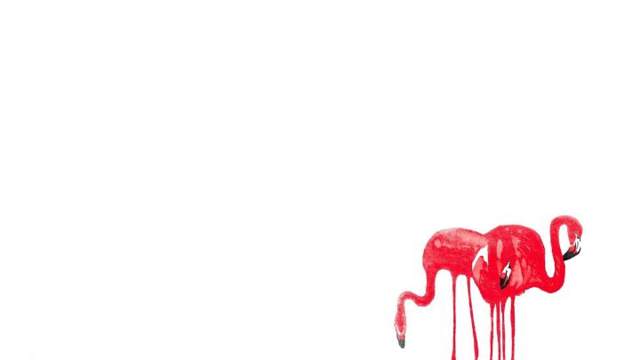 Flamingo Desktop Wallpaper -