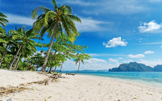 Tropical Beach Desktop Wallpaper \u00b7\u2460 