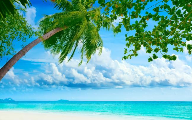 Beach Wallpaper for Computer (54+ images)