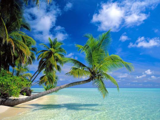 HD Wallpapers, HQ Free Images Download, Desktop Wallpapers: Beach 