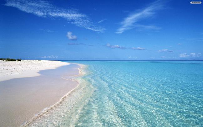 129 Beach Wallpaper Examples To Put On Your Desktop Background