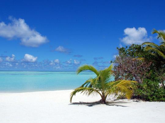 Free Beach Desktop Wallpapers