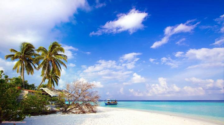 Free HD Beach Desktop Wallpaper -