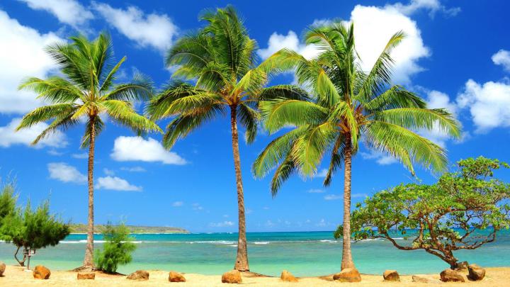 Caribbean Beach Desktop Wallpapers - Top Free Caribbean Beach Desktop 