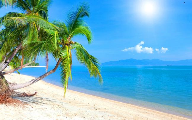 10 Latest Free Caribbean Beach Wallpaper FULL HD 1080p For PC Desktop 2021