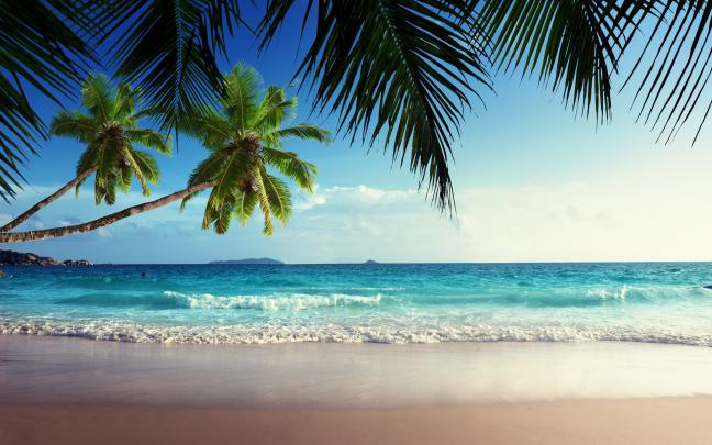 Tropical Beach Wallpaper Desktop \u00b7\u2460 