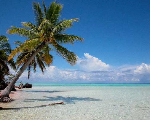 [47+] Free Desktop Wallpaper Beach Themes 