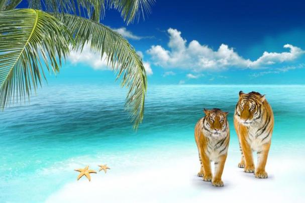 Tropical Beach Desktop Backgrounds \u00b7\u2460 