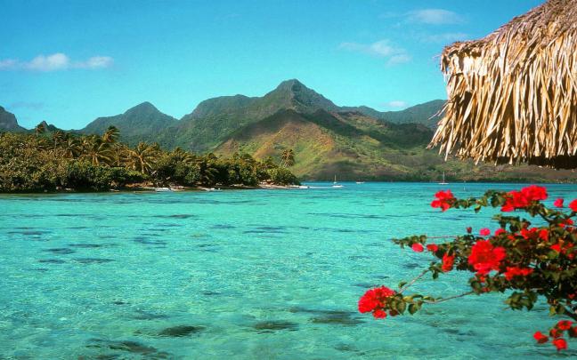 Tropical Beach Desktop Wallpaper \u00b7\u2460 