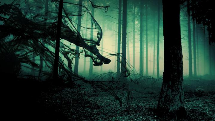 Gothic Horror Wallpaper \u00b7\u2460 