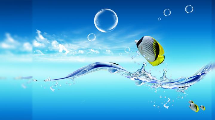 Live Wallpapers For Hp Laptop (57+ images)