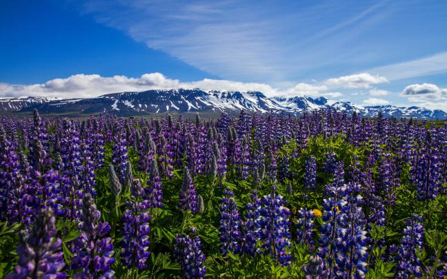 Iceland Wallpapers