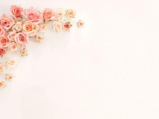 Rose gold wallpaper, flower, wedding, gift, romance \u2022 Wallpaper For You 