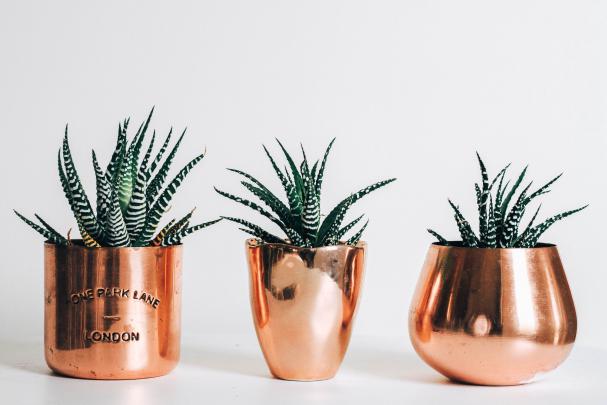 Rose Gold Aesthetic Pc Wallpaper \/ Rose Gold Desktop Wallpaper 