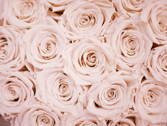 Best Of Cute Tumblr Rose Gold Backgrounds Marble Wallpaper For Laptop 