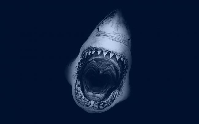 Desktop Shark HD Wallpapers