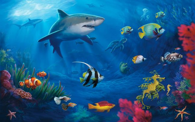 Shark Wallpapers, Pictures, Images